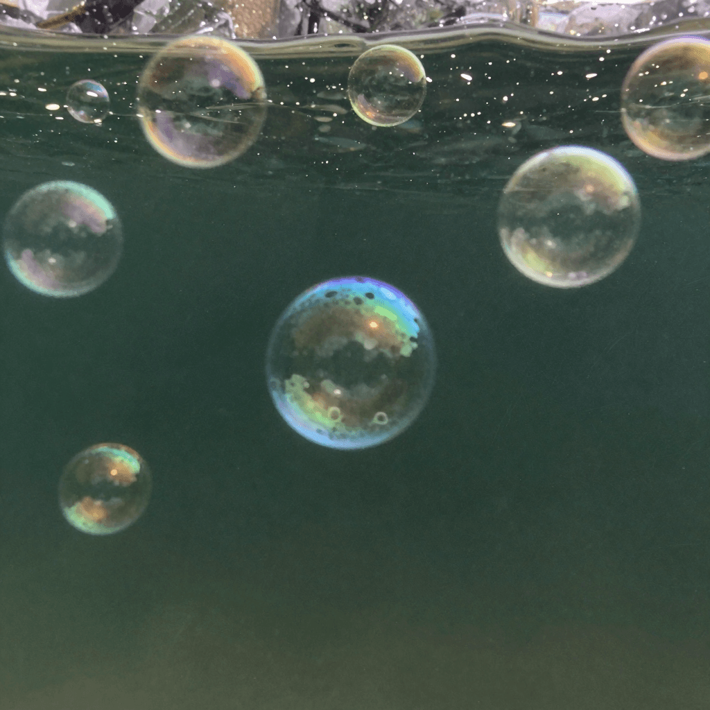 비눗방울 속에 갇힌 작은 세상