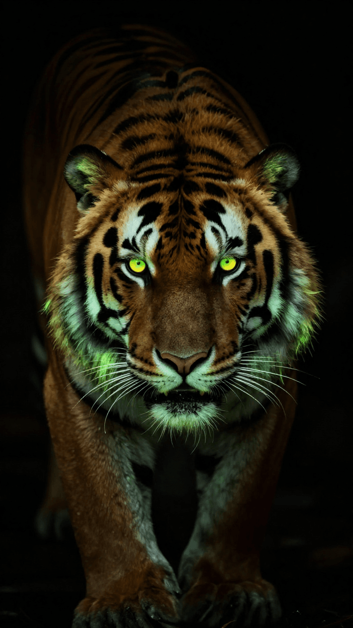 어둠 속에서 형광색으로 빛나는 호랑이 얼굴