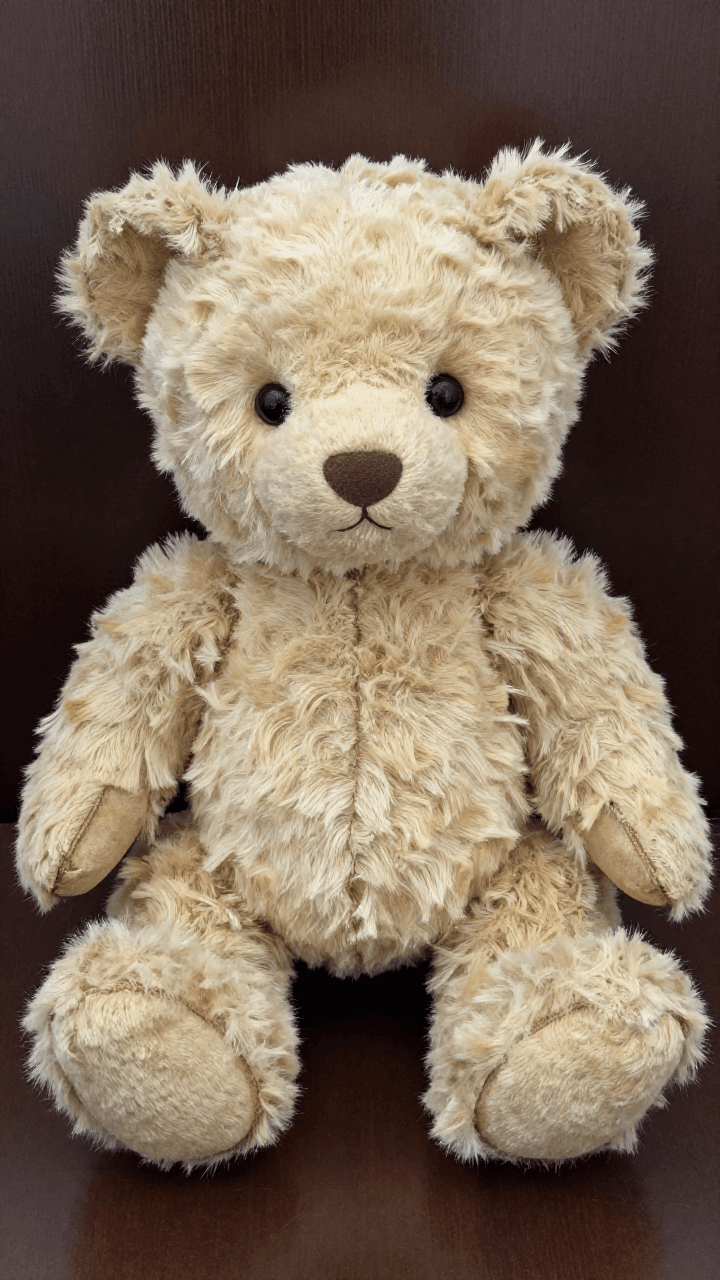 털이 보송보송한 빈티지 테디베어 인형